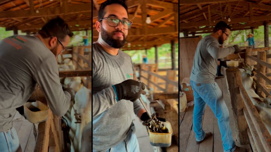 Por que a marcacao de animais e importante tanto nos