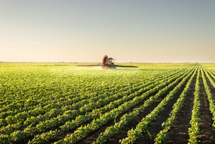 Qual e a porcentagem de fertilizantes importados na dependencia nacional