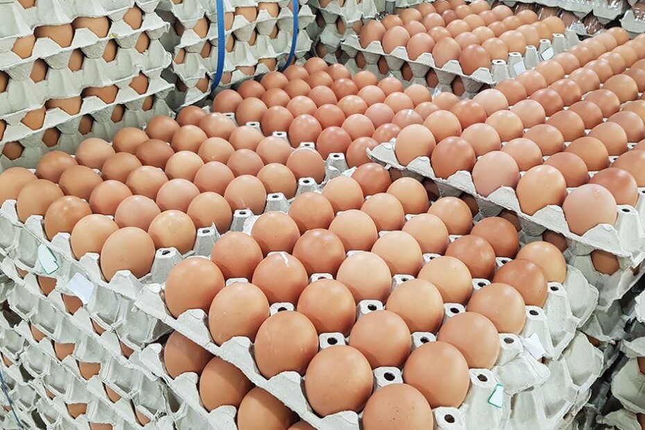 Qual e o aumento percentual das exportacoes de ovos em