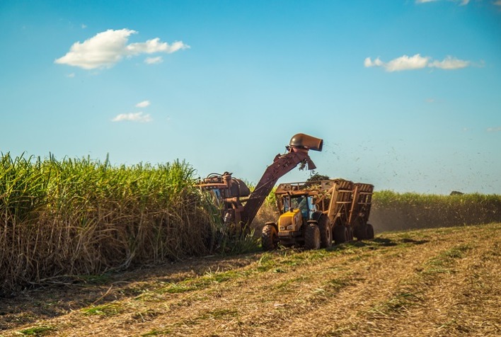 Qual foi o aumento na produtividade dos canaviais do centro sul