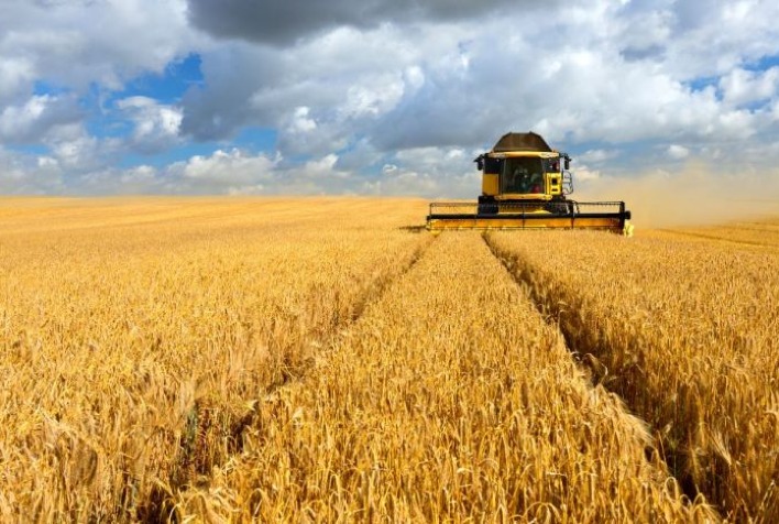 Quantas toneladas a colheita da safra 2023 da Ucrania atingiu