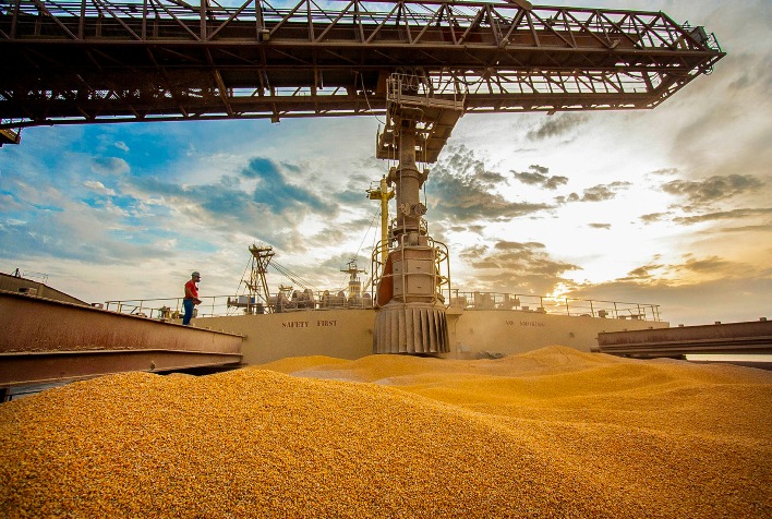 Quantos por cento de milho o Brasil esta exportando a