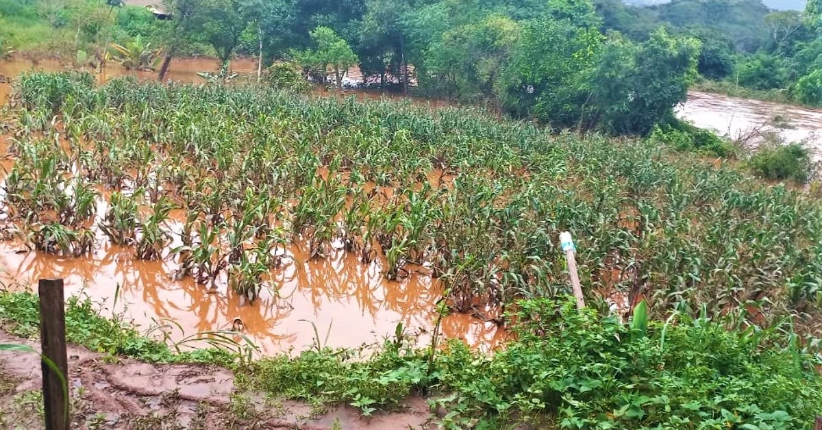 A Comissão da Câmara isenta o pagamento de ITR para propriedades em área de estado de emergência? 2 a comissao da camara isenta o pagamento de itr para propriedades em area de estado de emergencia