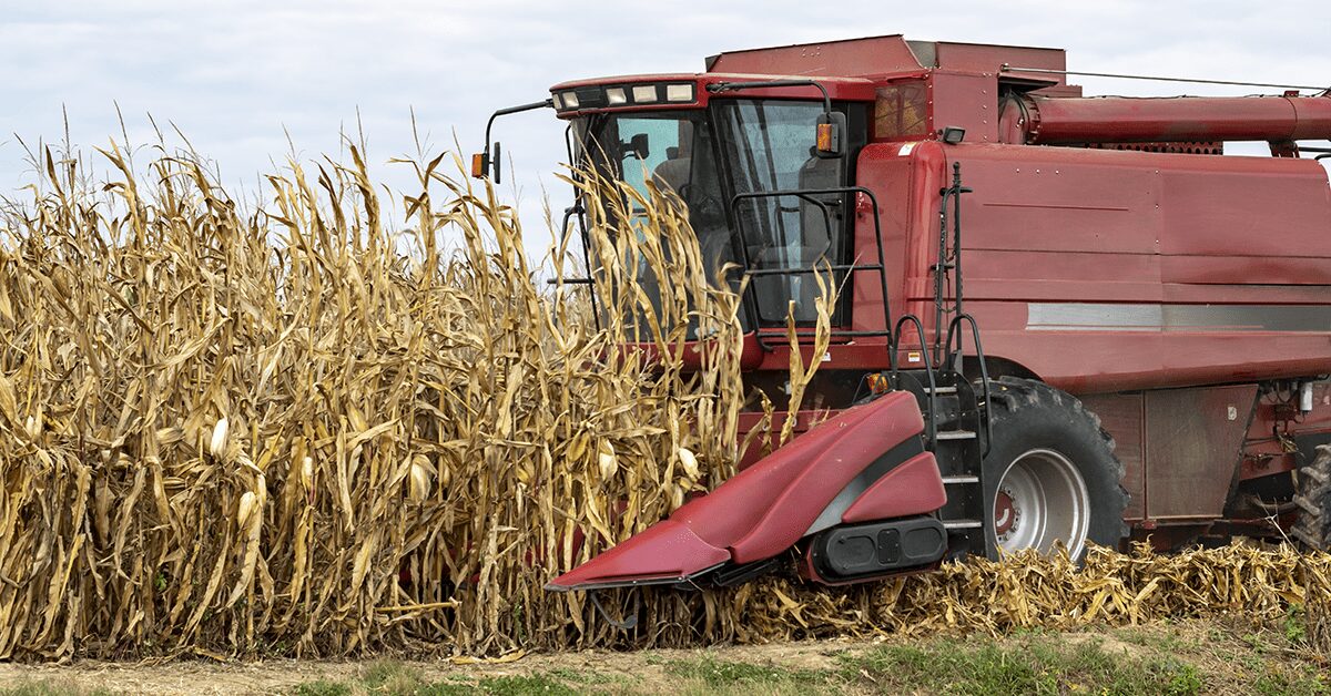 a cotacao dos produtores voltados ao campo esta estavel 2
