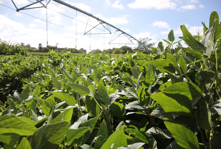 A Receita Federal realiza fiscalização tributária no segmento do agronegócio?