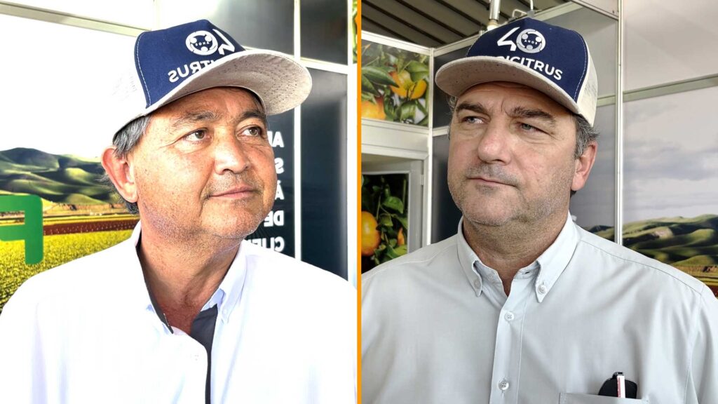 a safra 23 24 de laranja do brasil sera muito diferente da anterior