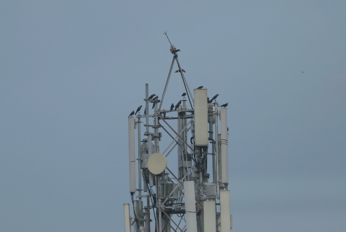 Além da agricultura, quais outros setores podem se beneficiar com a preparação do 5G para revigorar o Brasil?