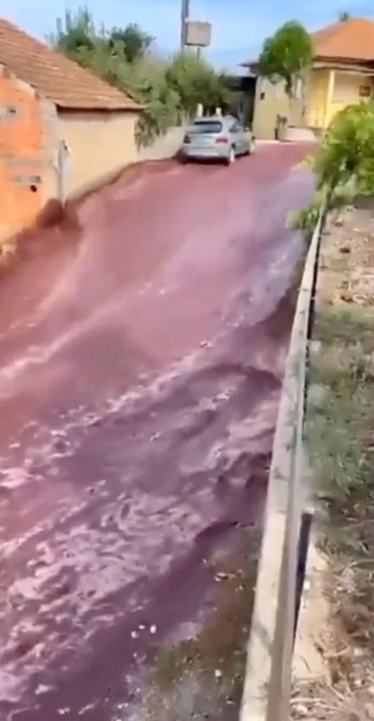 As ruas de uma cidade em Portugal estão sendo inundadas por corredeiras de vinho tinto? 1 as ruas de uma cidade em portugal estao sendo inundadas por corredeiras de vinho tinto