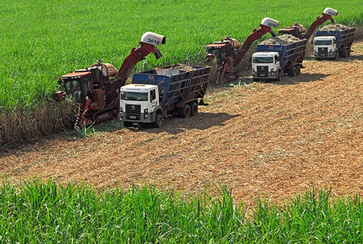 As usinas de etanol do Nordeste mudaram seu cronograma de colheita de cana-de-açúcar?