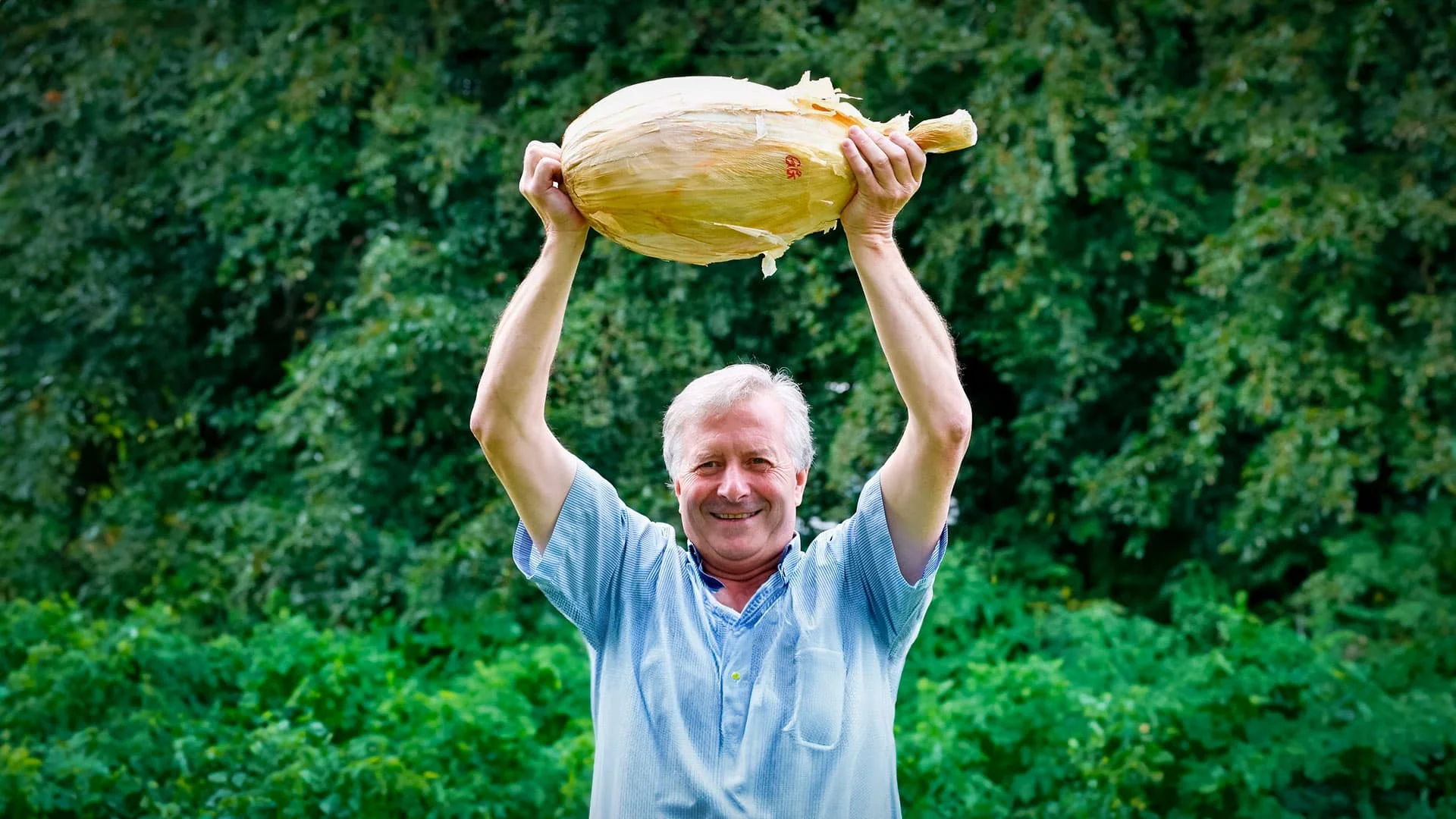 Cebola Gigante, com 9kg, pode entrar para o Guinness Book? 1 cebola gigante com 9kg pode entrar para o guinness book 1