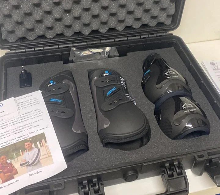 Como a nova tecnologia está ajudando no bem-estar dos equinos? 2 como a nova tecnologia esta ajudando no bem estar dos equinos 1