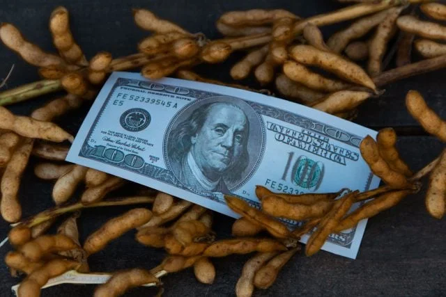 Como a queda brusca de Chicago afetou os preços da soja no Brasil? 12 mercado monetário de soja chicago