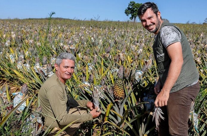 Como a técnica inovadora e determinação impulsionam a produção?