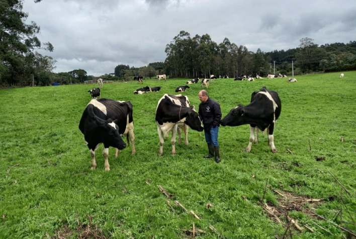 Como as enchentes estão impactando o setor leiteiro no Rio Grande do Sul?