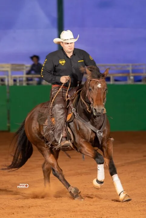 como as parcerias com treinadores renomados fortalecem a genetica do garanhao big papi