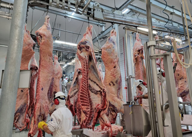 Como está o mercado com os preços enfraquecidos esta semana? Quais são as cotações?