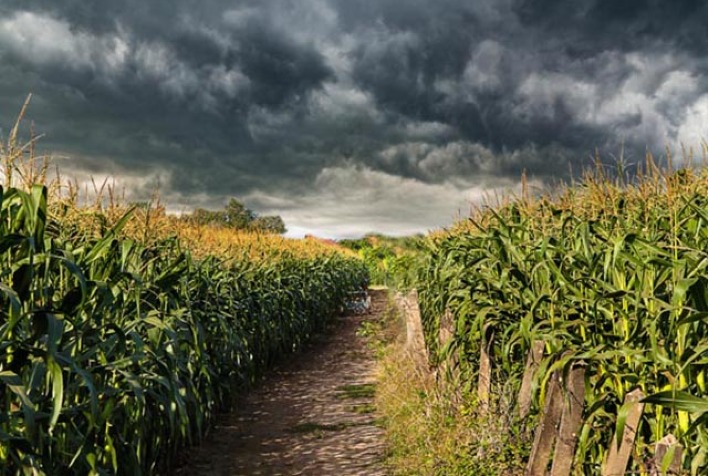 como o excesso de chuvas no sul pode afetar o atraso da safra do milho na avaliacao de um especialista