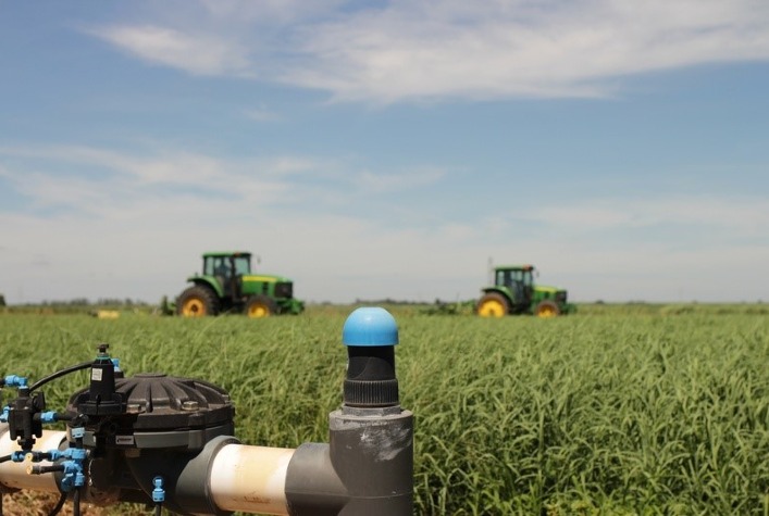Como o gotejamento subterrâneo está revolucionando a produção de pastagem e a rotação de cultivos?