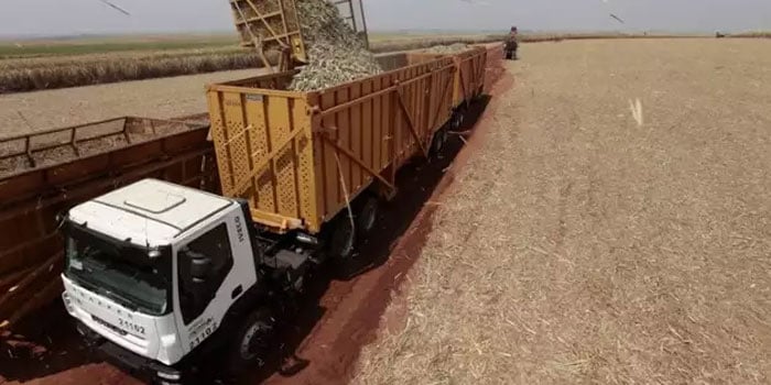 como o programa cana iac levanta a produtividade das usinas responsaveis por 62 da producao de cana de acucar