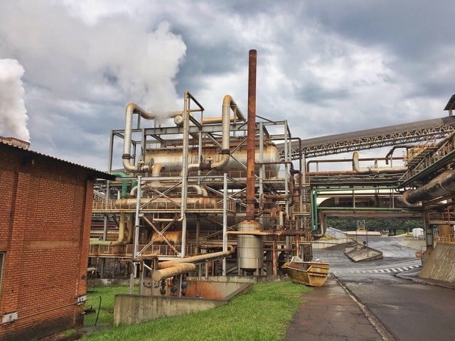 Melaço - Cana-de-açúcar