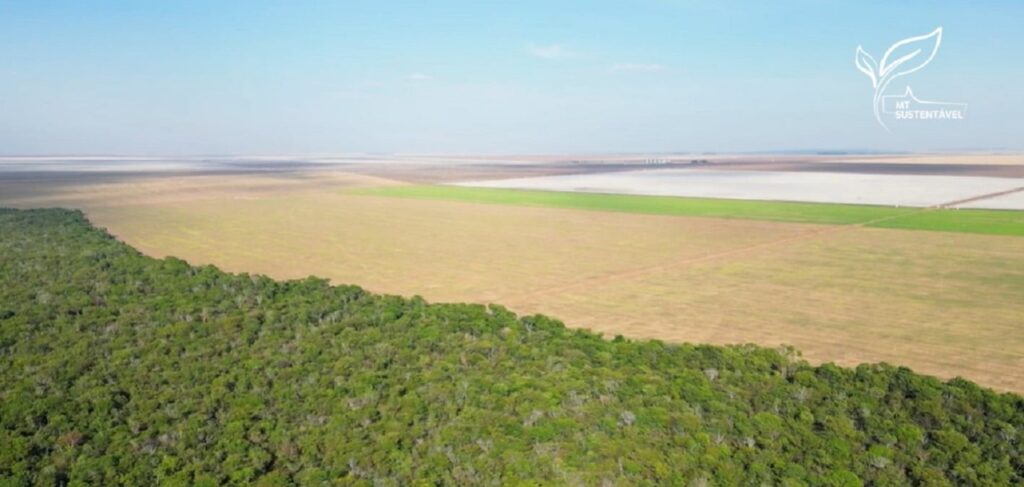 como os produtores de mato grosso sao remunerados para garantir a preservacao das florestas