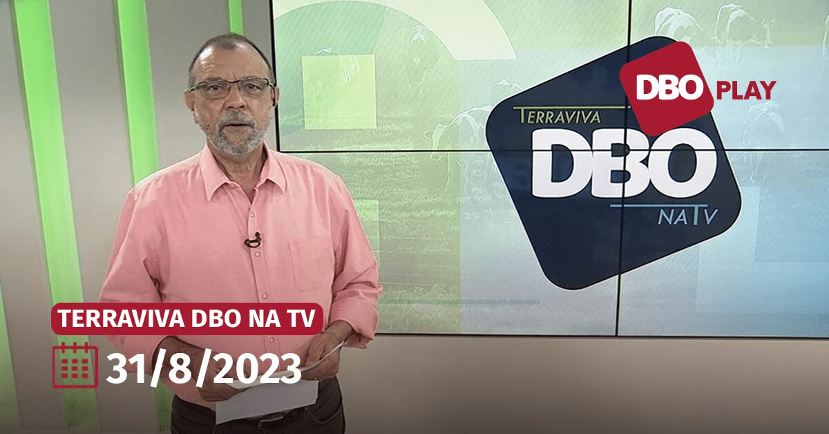Como posso assistir ao programa completo do Terraviva DBO na TV, do dia 31 de quinta-feira, através do Portal DBO?
