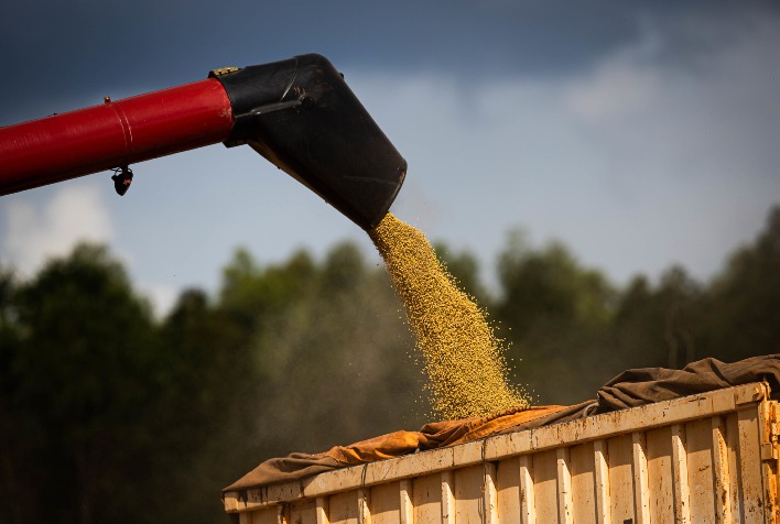 De onde saiu mais de um terço da produção nacional de grãos?