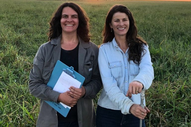 Drones são ótimos gestores de bois e pastos