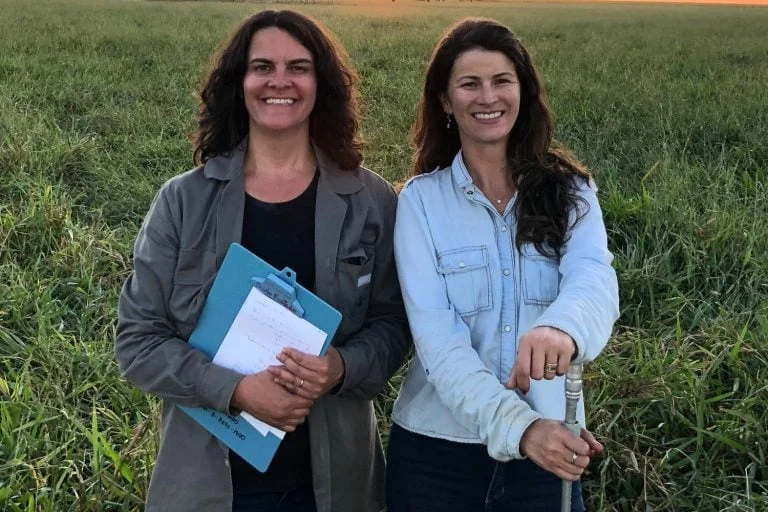 Drones são eficientes na gestão de bois e pastos? 19 Drones são ótimos gestores de bois e pastos