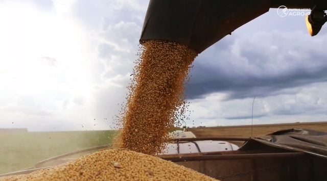 patrulheiro agro soja fertilizante pedro silva canal rural mato grosso1