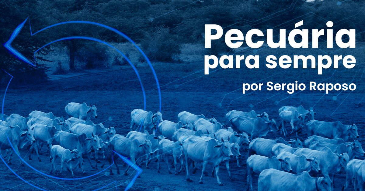 existe uma emergencia de falta de bom senso no portal dbo 1