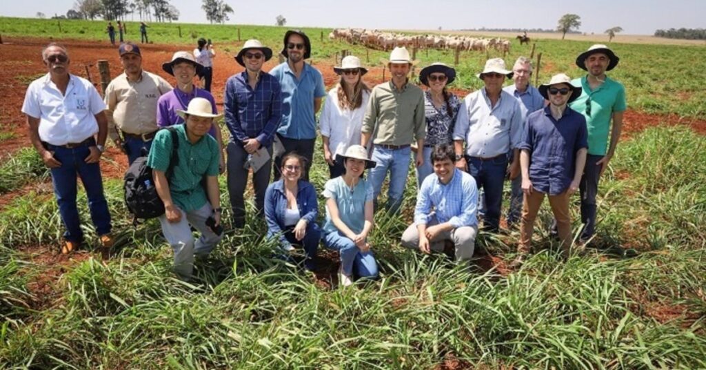 no portal dbo a missao do agrobrazil conheceu a producao integrada de bovinos e graos em caarapo ms