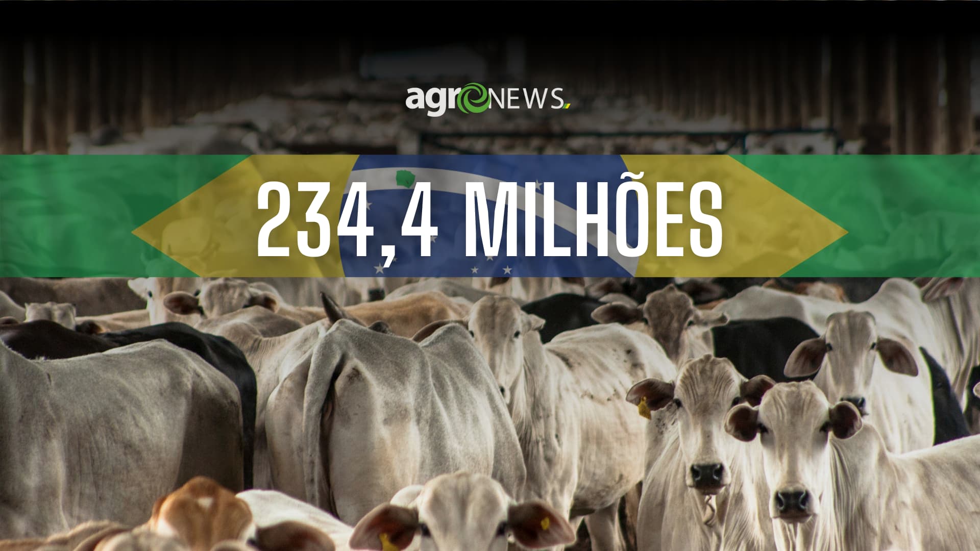 O Brasil tem mais gado do que pessoas?