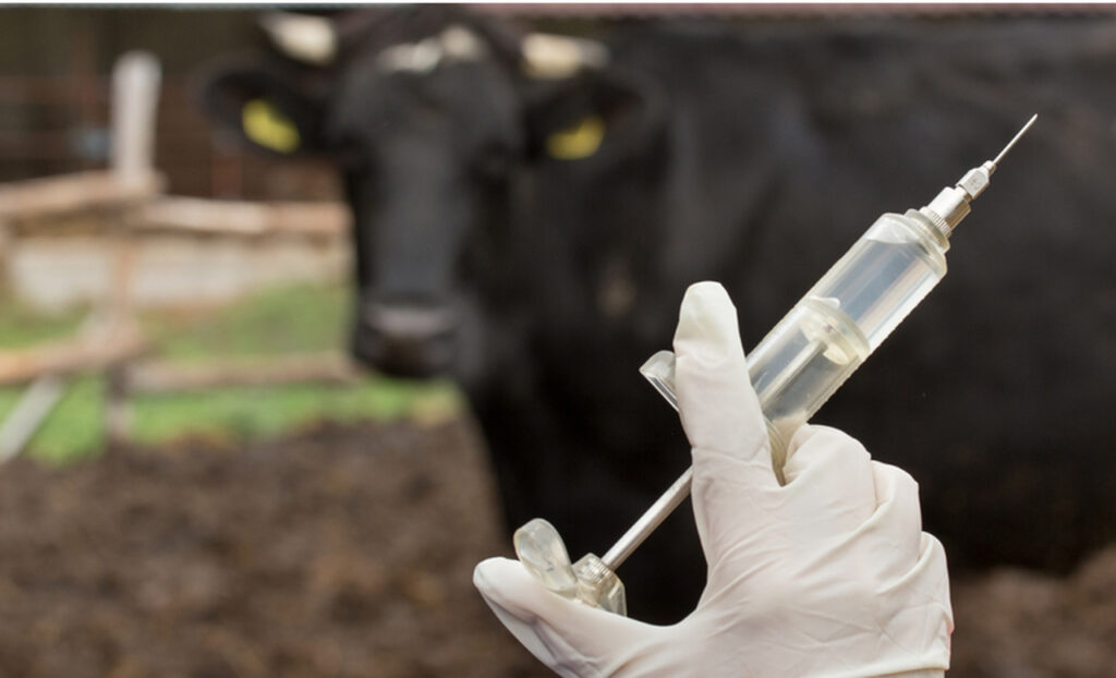 O Paraná ganhou reconhecimento nacional e agora faz parte do Sistema Brasileiro de Inspeção de Insumos Pecuários? 5 o parana ganhou reconhecimento nacional e agora faz parte do sistema brasileiro de inspecao de insumos pecuarios