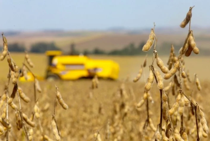 O Paraná mantém as estimativas de safras de soja e milho para 2023/2024 e reduz a previsão para trigo? 7 o parana mantem as estimativas de safras de soja e milho para 2023 2024 e reduz a previsao para trigo