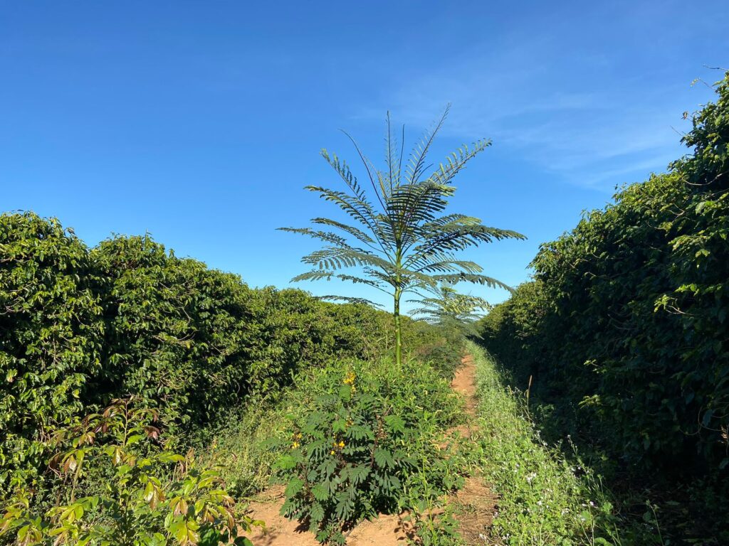 o que a expocacer esta comemorando ao celebrar 30 anos e revelar uma nova marca