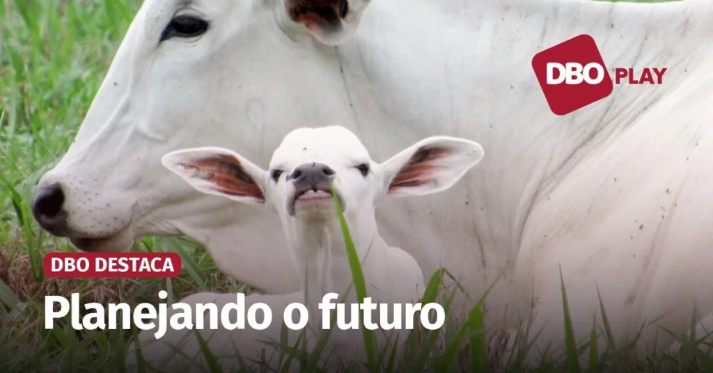 O que é necessário ser feito agora para obter os melhores resultados na fase de alta? 2 o que e necessario ser feito agora para obter os melhores resultados na fase de alta