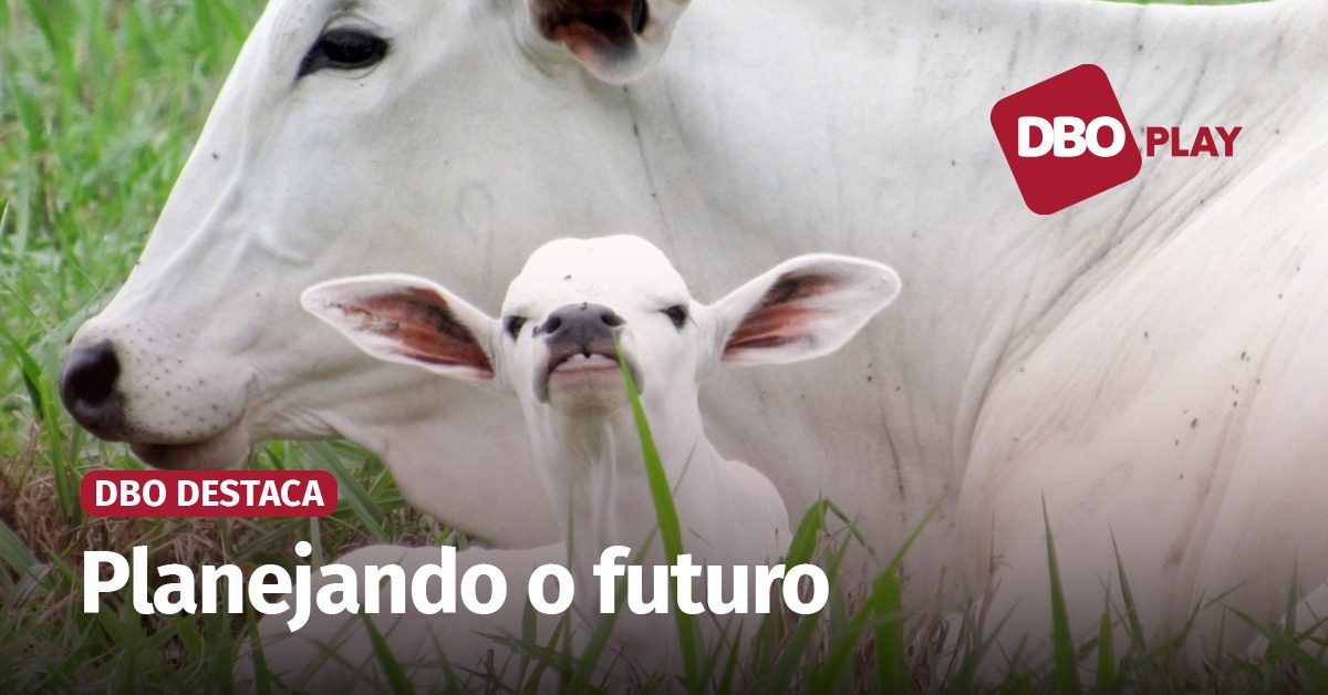 o que e necessario ser feito agora para obter os melhores resultados na fase de alta