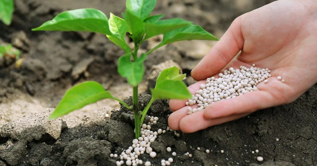 Fertilizantes têm crescimento surpreendente- Anda • Portal DBO 6 o terremoto no marrocos esta gerando incerteza no mercado sobre o fornecimento de fosfatados 1