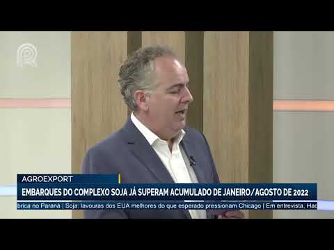 Agroexportação: embarques do complexo soja já ultrapassaram janeiro/agosto de 2022 |  Canal Rural