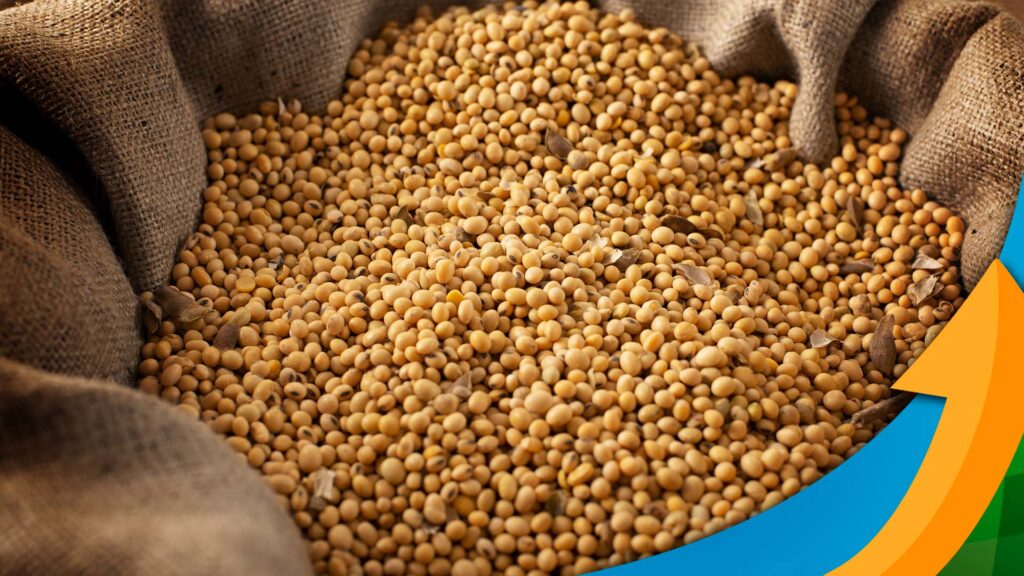 os fundos ou os fundamentos devem pesar mais no direcionamento dos precos da