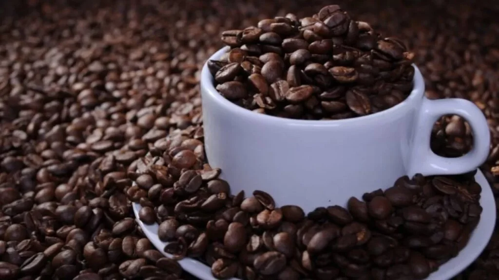 Os negócios do café estão lentos, você pode confirmar? 5 mercado do café robusta