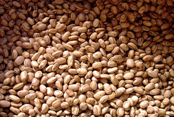 os precos do feijao estao mantendo a tendencia de alta e ja consolidaram uma alta de 5