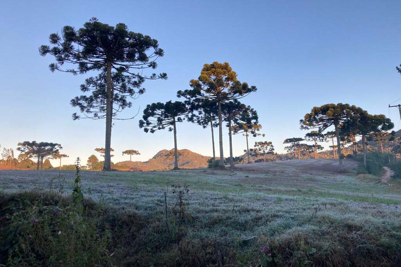 os produtores ja podem tirar as protecoes das lavouras certo 1
