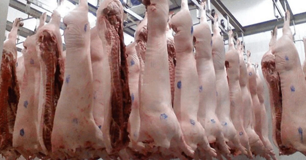 por que a baixa demanda e a oferta elevada estao derrubando a cotacao no atacado