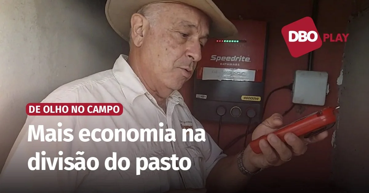 Por que cerca elétrica não combina com gambiarra? 30 por que cerca eletrica nao combina com gambiarra 1