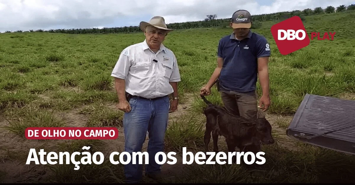 por que e importante lembrar das crias durante a troca de piquete no pastejo rotacionado