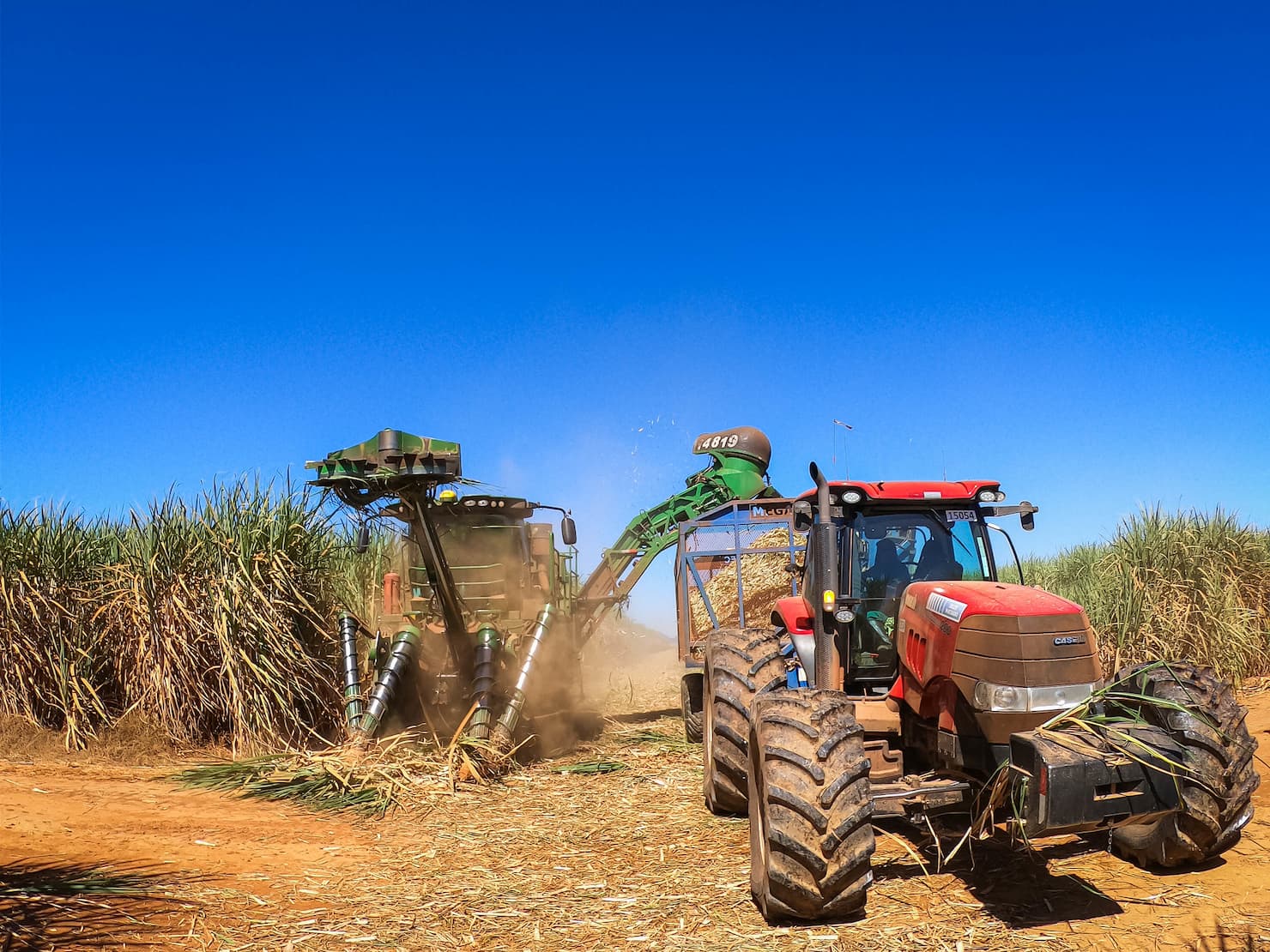 por que o preco do acucar continua em alta 1