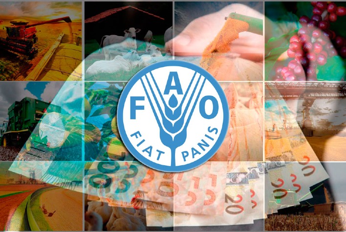 por que os precos mundiais de alimentos estao alcancando minimas de 2 anos mesmo com o aumento do preco do arroz de acordo com a fao