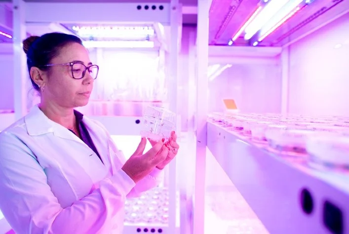 quais as principais culturas agricolas que a gdm esta expandindo sua escala produtiva atraves da ampliacao do centro de biotecnologia